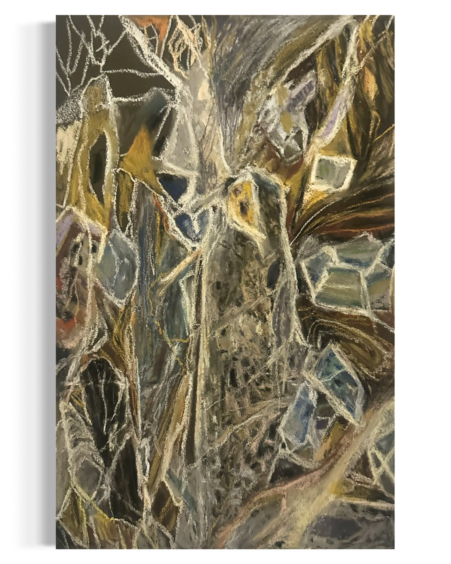 A Micro Lens on Nature